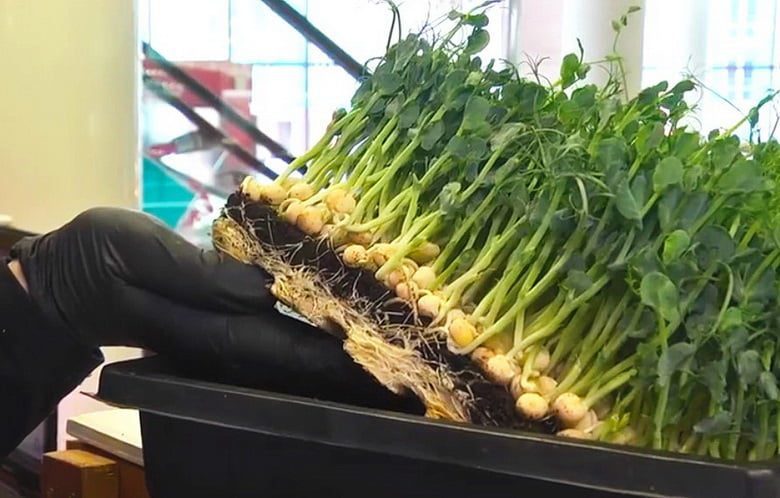 Новый тренд в еде: минимум калорий — максимум пользы