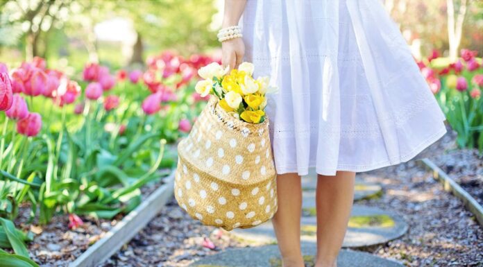 От выбора ткани до фасона: советы по летнему гардеробу