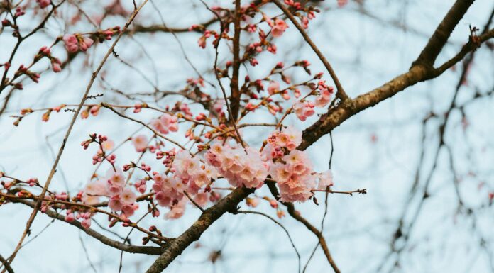 Профилактика весенних перепадов настроения