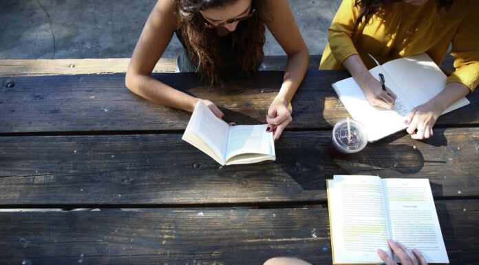 Описание предприятия в отчете по практике: что нужно указать и как избежать «воды»