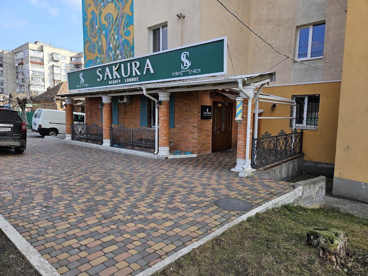 Сакура — Beauty